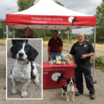 Photo of Wardens Sam & Steve fire investigation dog Chester, a black & white spaniel.