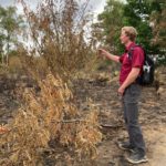 Image of Warden Sam inspecting the scorched branches of a tree