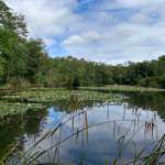 Photo of a tranquil lake at Fishpool