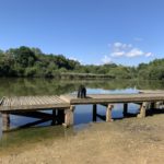 Photo of a black poodle dog standing on a small jetty with nice view of the lake behind.