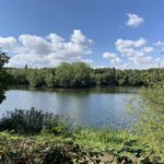 Photo of a view across a lake, with blue sky behind.