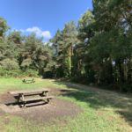Photo of picnic benches in a clearing.