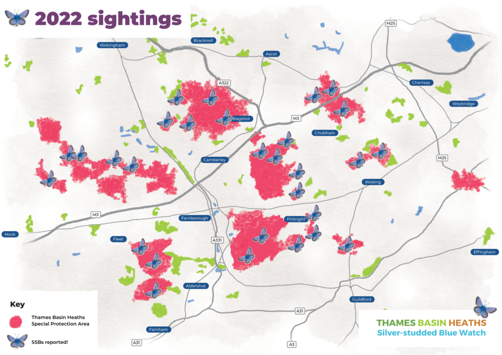 A map highlighting where silver-studded blues have been spotted