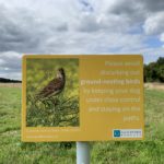 Photo of a sign asking everyone to stay on paths because of nesting skylarks.
