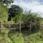 Photo of a path along a hedgerow.