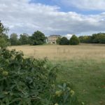 Photo of a meadow with mature trees and a classical mansion in the distance.