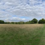 Photo of a meadow with mature trees and a classical mansion in the distance.