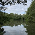 Photo of a pond surrounded by trees.