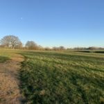 Photo of a lovely day in winter, with bare oak trees in the background and a muddy path in the foreground.