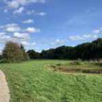 Photo of a surfaced path winding through a green meadow, with a muddy round pond.