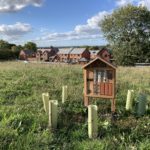 Photo of an insect hotel surrounded by new planting, and a hill rolling down to a row of new houses.