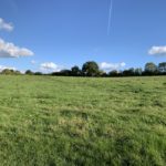 Photo of a green meadow, with blue sky and fluffy white clouds.