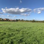 Photo of a green meadow, with blue sky and fluffy white clouds.