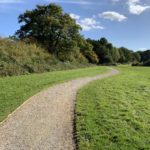 Photo of a gravel path leading through a large field bordered by woodland.