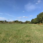 Photo of a large field bordered by woodland.