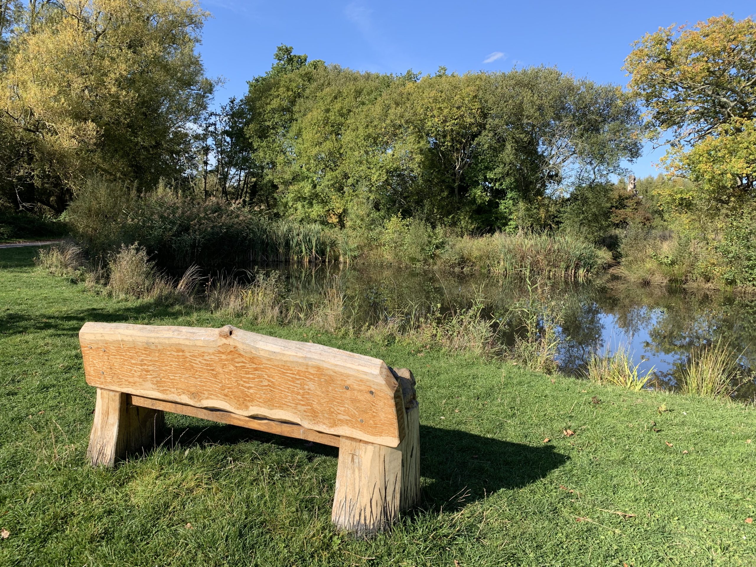 Photograph of a bench looking out across a pond.