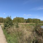 Photograph of section of boardwalk next to a pond.