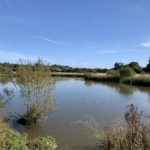 Photograph of a large pond with new houses in the distance.