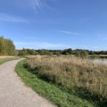 Photograph of gravel path snaking past a pond.