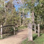 Photo of a sign pointing the way to the "Old Oak Way".