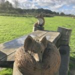 Photo of carved foxes on a wooden picnic bench.