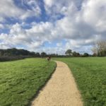 Photo of a wide open space with a path leading invitingly into the distance.