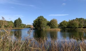 Photo of an attractive lake, with islands and mature trees.