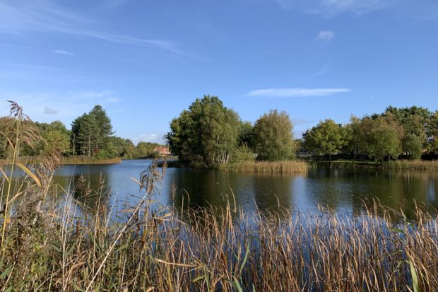 Photo of an attractive lake, with islands and mature trees.