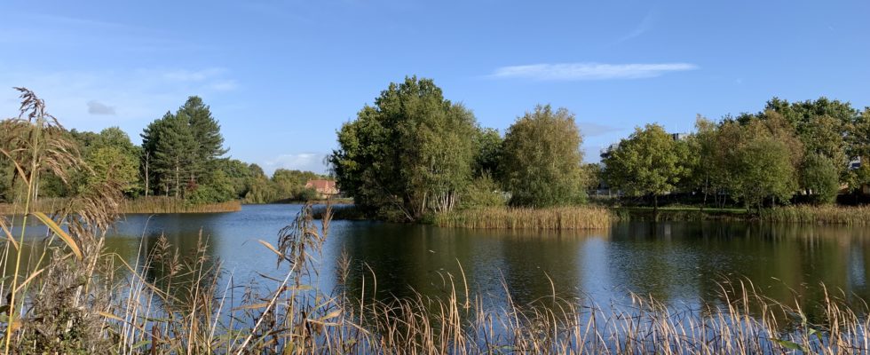 Photo of an attractive lake, with islands and mature trees.