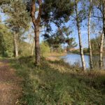 Photo of a wide gravel path along the side of a lake.