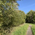 Photo of a narrow gravel path through scrub.