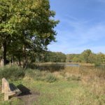 Photo of a bench looking out across the lake.