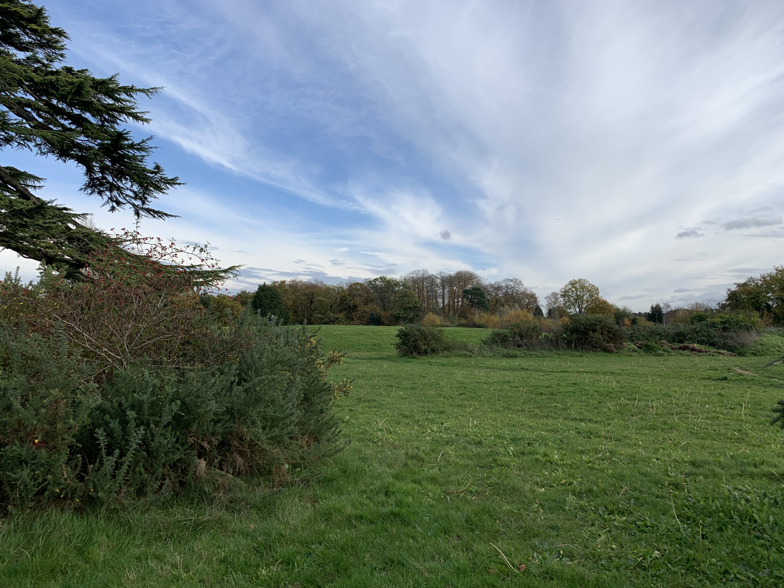 Earlswood Park Thames Basin Heaths