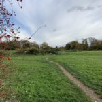 Photo of a path at Earlswood Park with rose hips in the foreground.