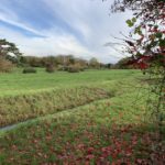 Photo of autumn colours at Earlswood Park.