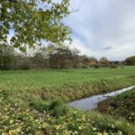 Photo of autumn colours at Earlswood Park.