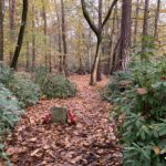 Photo of woodland memorial with poppy wreaths.