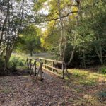 Photo of a path crossing a bridge in autumn.