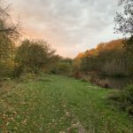 Photo of the ponds in autumn, with the last of the day's sunshine hitting the top of the trees.