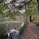 Photo of the Basingstoke Canal in autumn