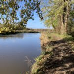 Photo of an attractive view from the towpath up the River Wey