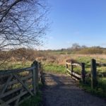 Bright photo showing a gateway and bridge leading to meadow and reeds.