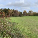 Autumnal photograph of a grassy open space