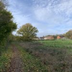 Autumnal photograph of a tree-lined path beside a meadow with houses in the distance