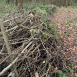 Photo of a 'hedge' made of sticks and branches.