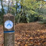 Autumnal photo of a waymarked woodland path.