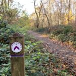 Autumnal photo of a waymarked woodland path.