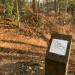 Photograph of a nature trail post, depicting a bat.