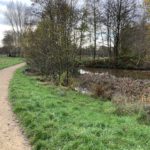 Autumnal photo of a path running past a pond