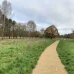 Panoramic photo of a wide meadow, autumnal trees and a surfaced path snaking into the distance.